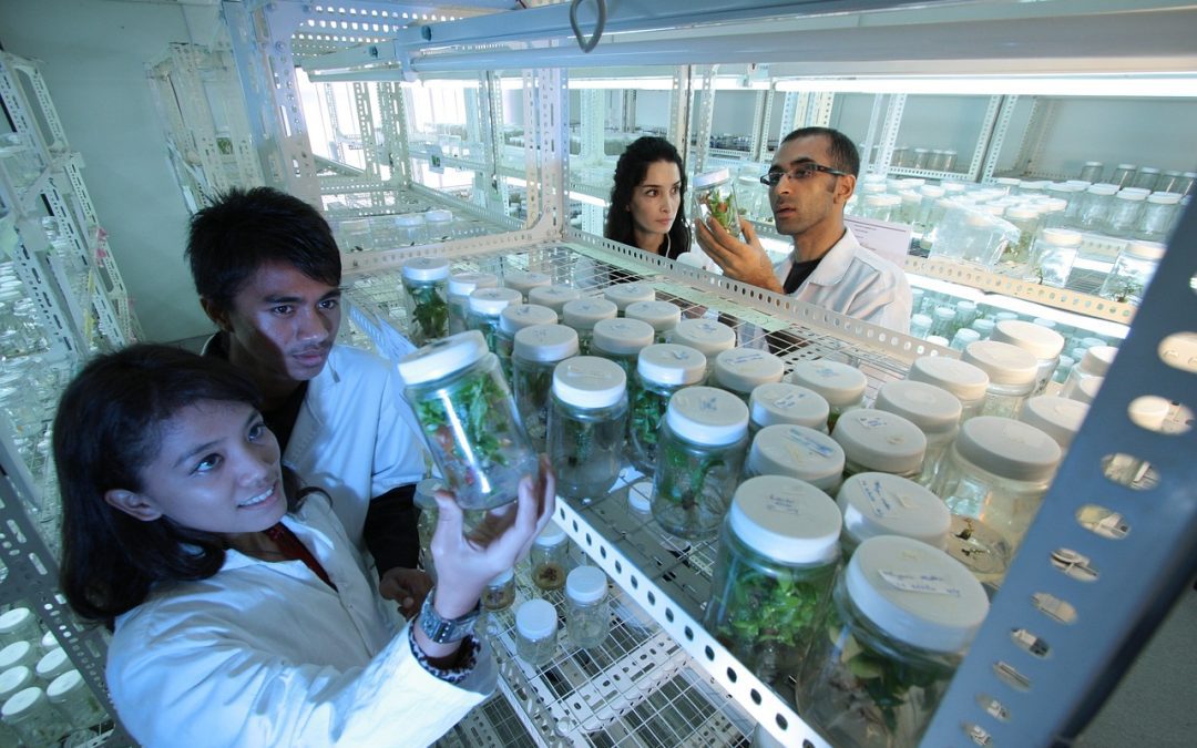 Ocho instituciones de la Macrozona Centro se adjudican proyecto para acelerar elimpacto territorial de la CTCi