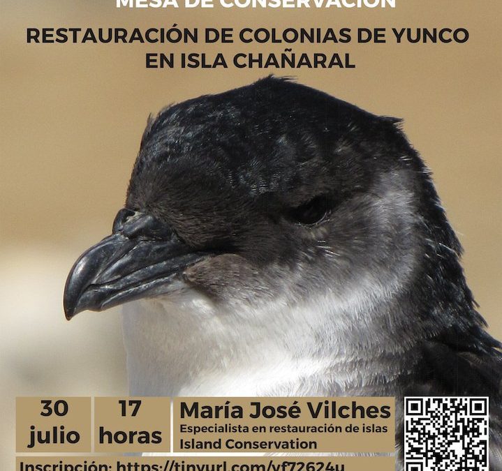 Charla sobre restauración de colonias de yunco en Isla Chañaral