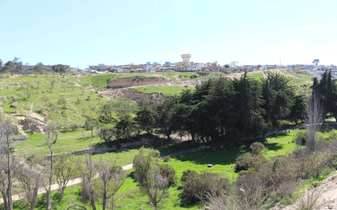 Reconocen formalmente el patrimonio científico y cultural del Parque Culebrón de Coquimbo