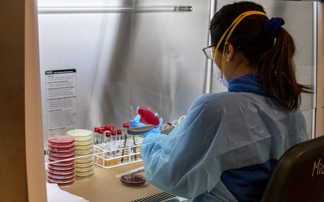 UCN impulsa la aceleración de la ciencia y la investigación desde Arica hasta Valparaíso