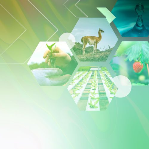 Participa del Seminario Virtual: Impactando en nuestro territorio desde la CTCi