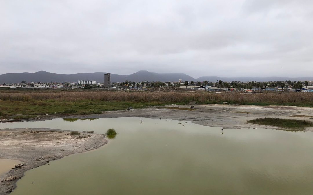 Nodo CIV-VAL participa en Primer Encuentro por los Humedales Costeros de la Región de Coquimbo