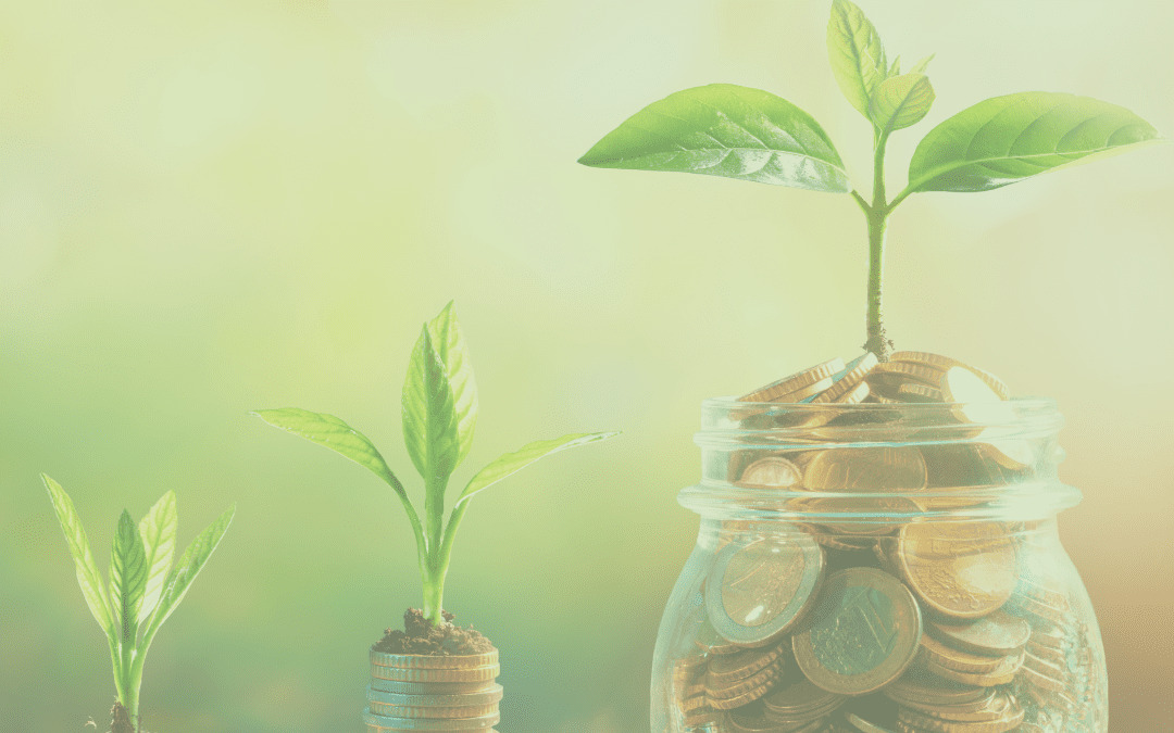 Conoce las diferentes fuentes de financiamiento relacionadas a la CTCi(*)