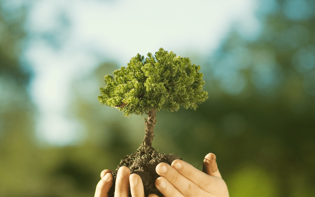 05 de junio: Día Mundial del Medio Ambiente
