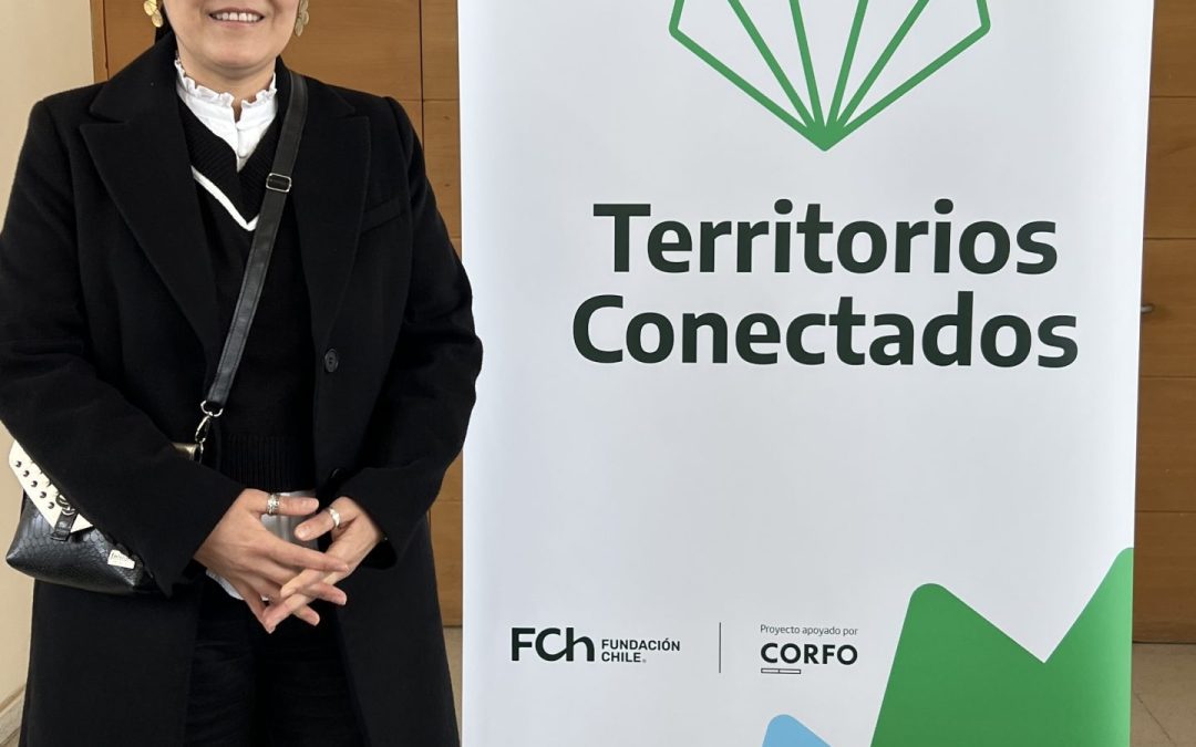 Nodo CIV-VAL participa de Encuentro Territorios Conectados