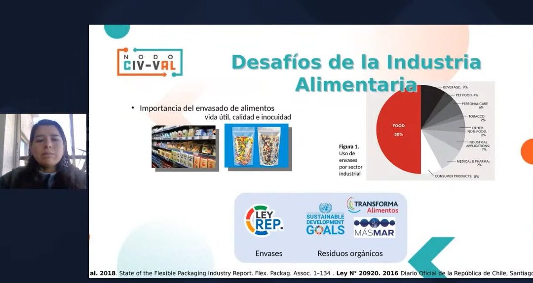Seminario Virtual: Impactando en nuestro territorio desde la CTCI