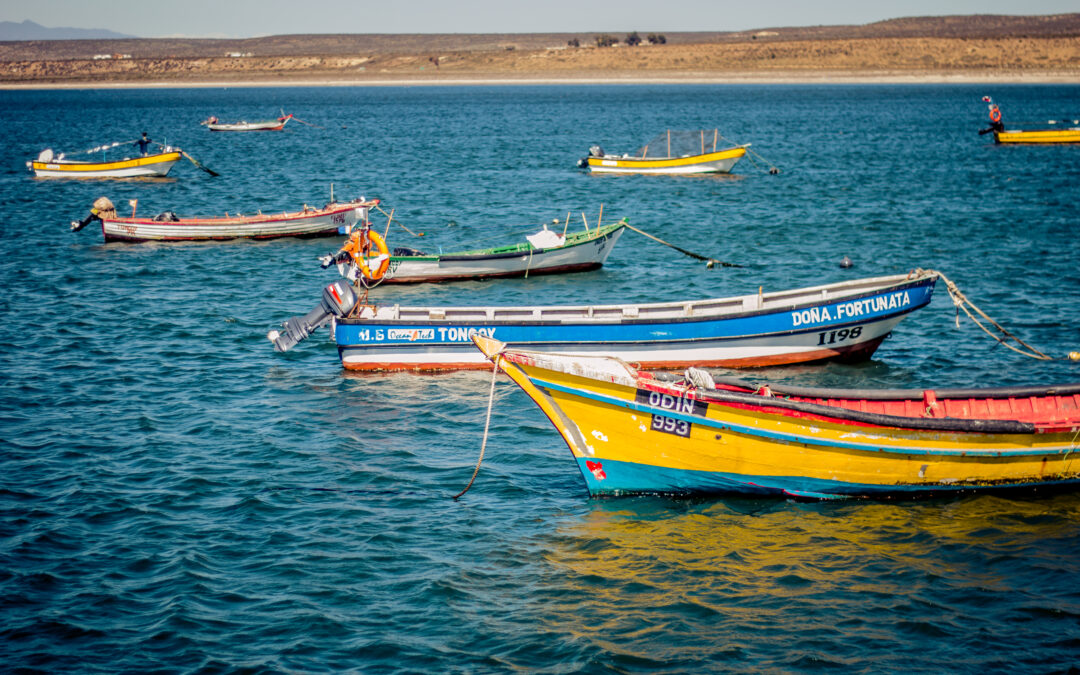 Centro Científico CEAZA plantea la necesidad de avanzar en sistema de monitoreo de “marea roja” para proteger a la pesca y acuicultura