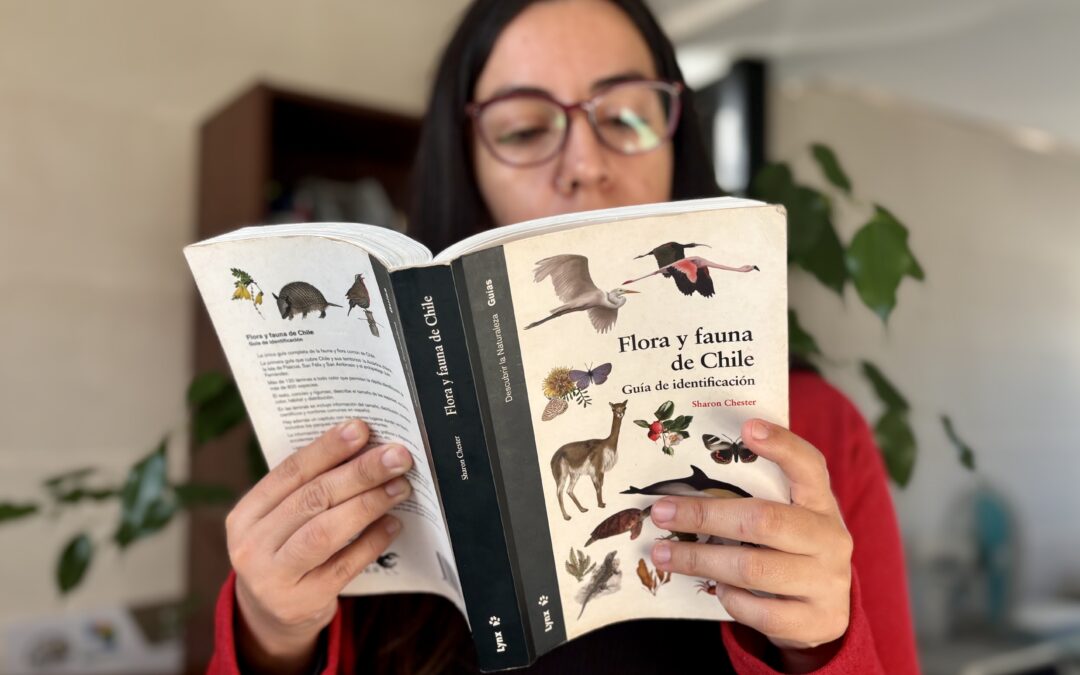 En el mes del libro: “Caja viajera” llega a Cerro Grande con títulos sobre sustentabilidad