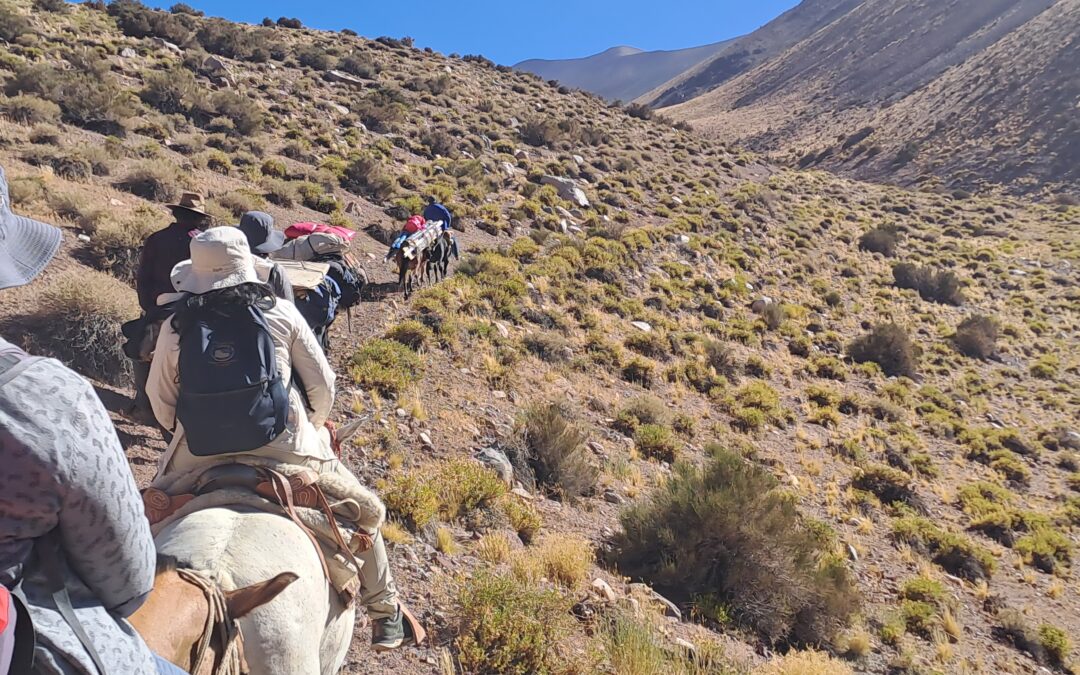 “Huasco Montaña Virtual” llevará los humedales y la criósfera altoandina a una experiencia inmersiva