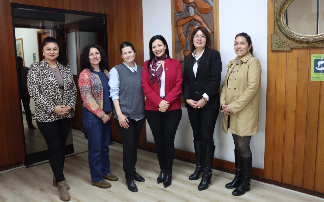 Nodo CIV-VAL se reúne con diversas instituciones del ecosistema CTCI de la Región de Coquimbo